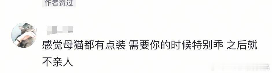 在抖上你甚至能看到gong击🐱的[二哈] ​​​