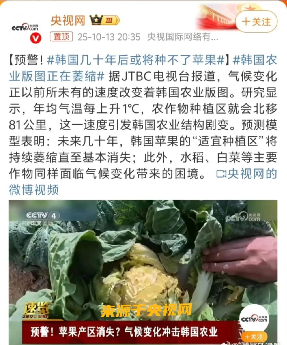 惊！韩国农业版图萎缩，苹果或成“历史水果”

家人们，今天要给大家带来一则让人震