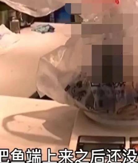 饭店惹祸了！浙江杭州，女子在饭店点了一条4斤的有机鱼。端上桌后认为鱼肉太少，怀疑