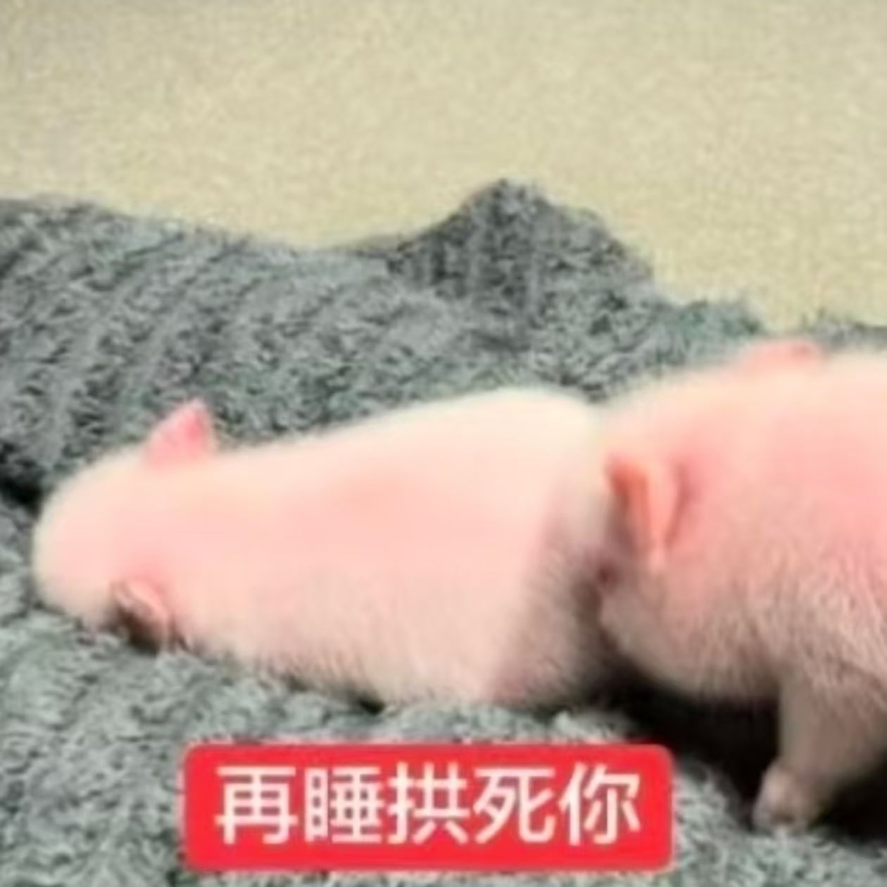 挑战每天早睡一秒钟 