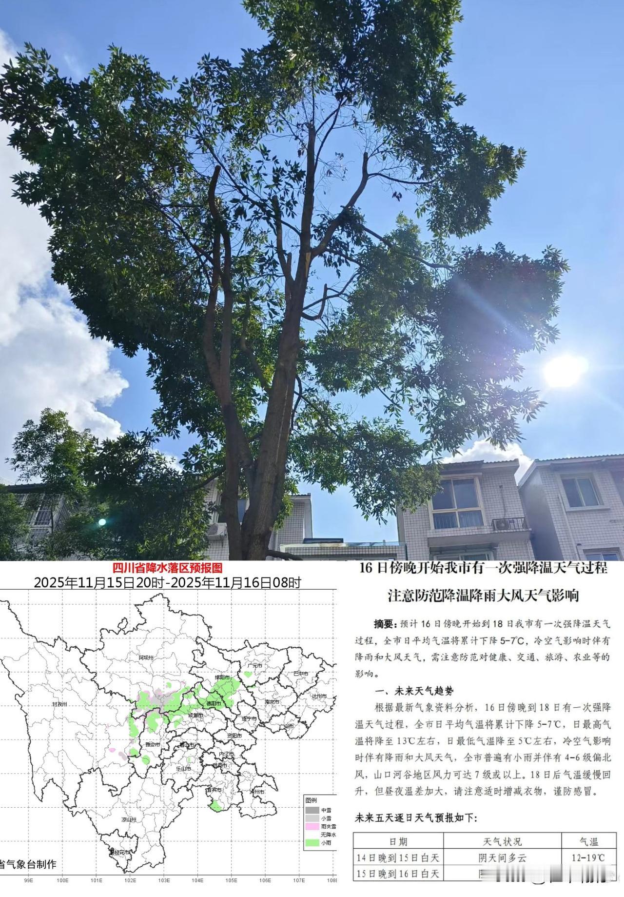 秋日“体验卡”即将到期！强降温+大风+降雨组团来袭。

       这个周末，