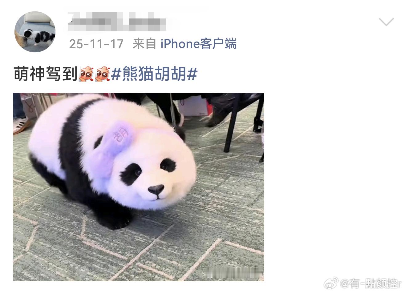 熊猫计划之部落奇遇记定档春节  熊猫计划定档春节合家欢首选！成龙带熊猫胡胡部落探