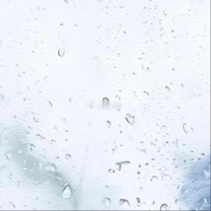 0000雨润蓝英，静蓄微光雨珠爬满窗面，将蓝花晕成一片柔和的雾色。它不躲避雨水，