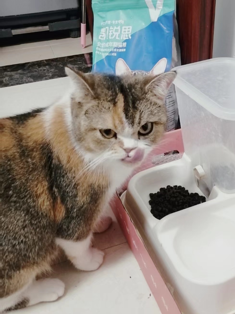 我家小猫咪贼挑食，很多进口大牌猫粮都不吃，但非常喜欢吃！听说采用4层强化锁鲜，保