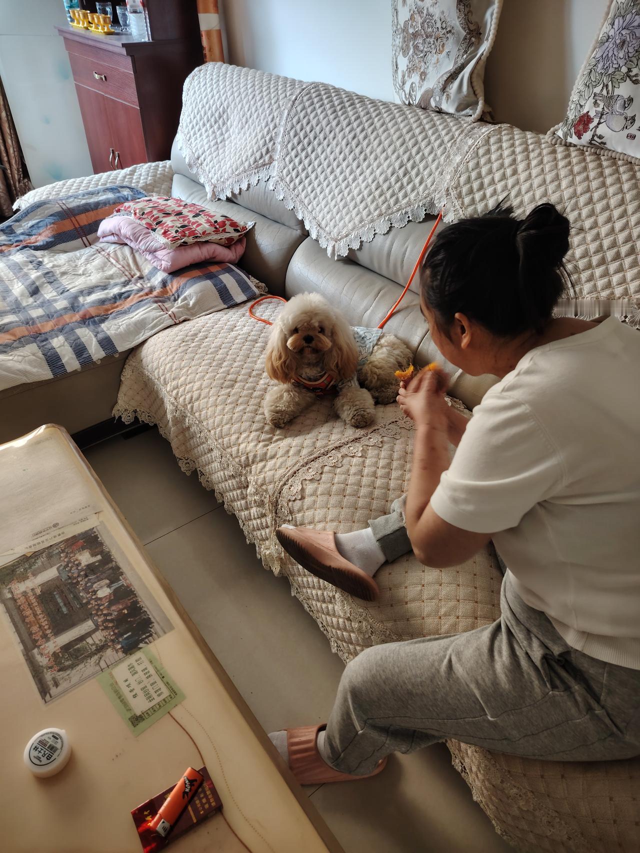 家里自从养了这个小东西，欢声笑语多了很多，都拿它当做小孩子一样。