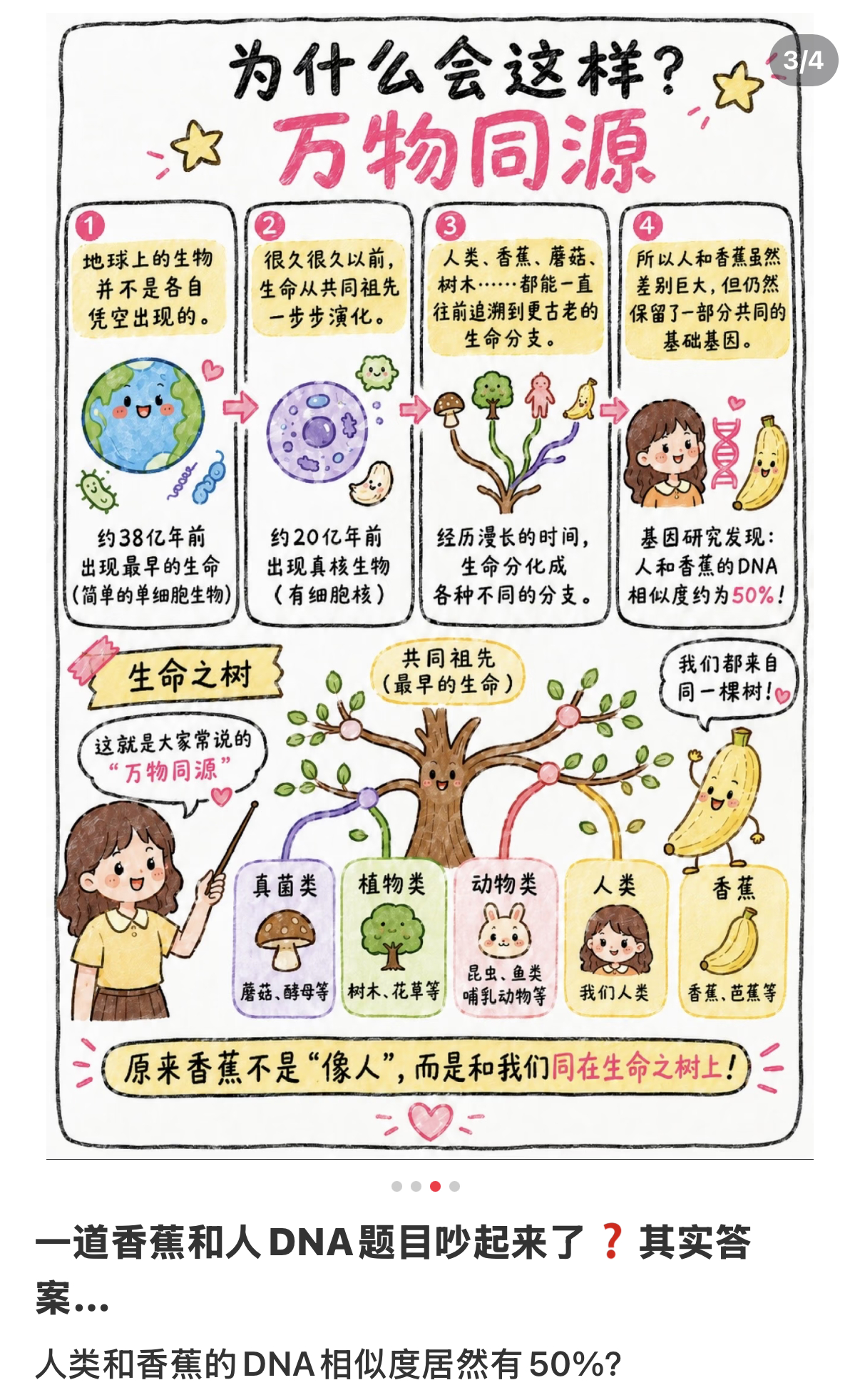 今天谁被支付宝答题的香蕉卡住了刷到支付宝答题活动这道香蕉题的答案，我释怀了：难怪