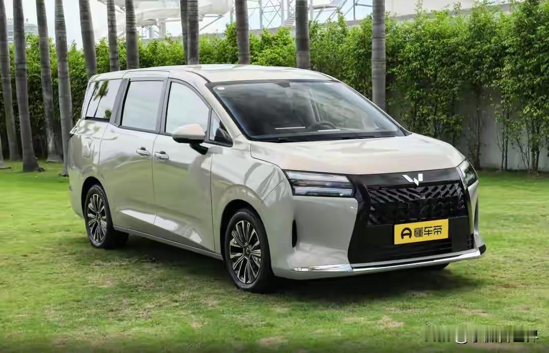 万万没想到！星光730从11月12日上市以来，就直接霸榜插混、纯燃油和纯电MPV