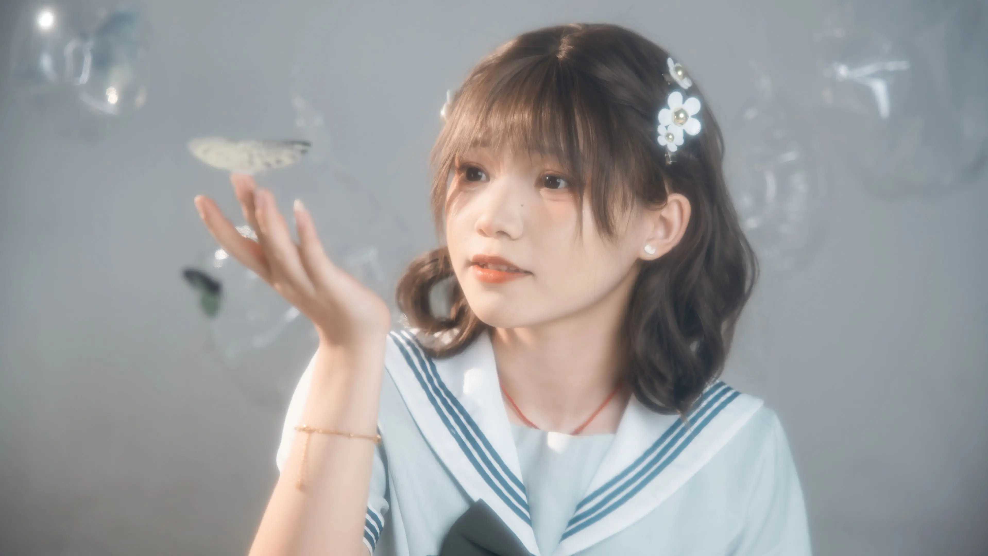 它的翅膀上画满了梦幻。