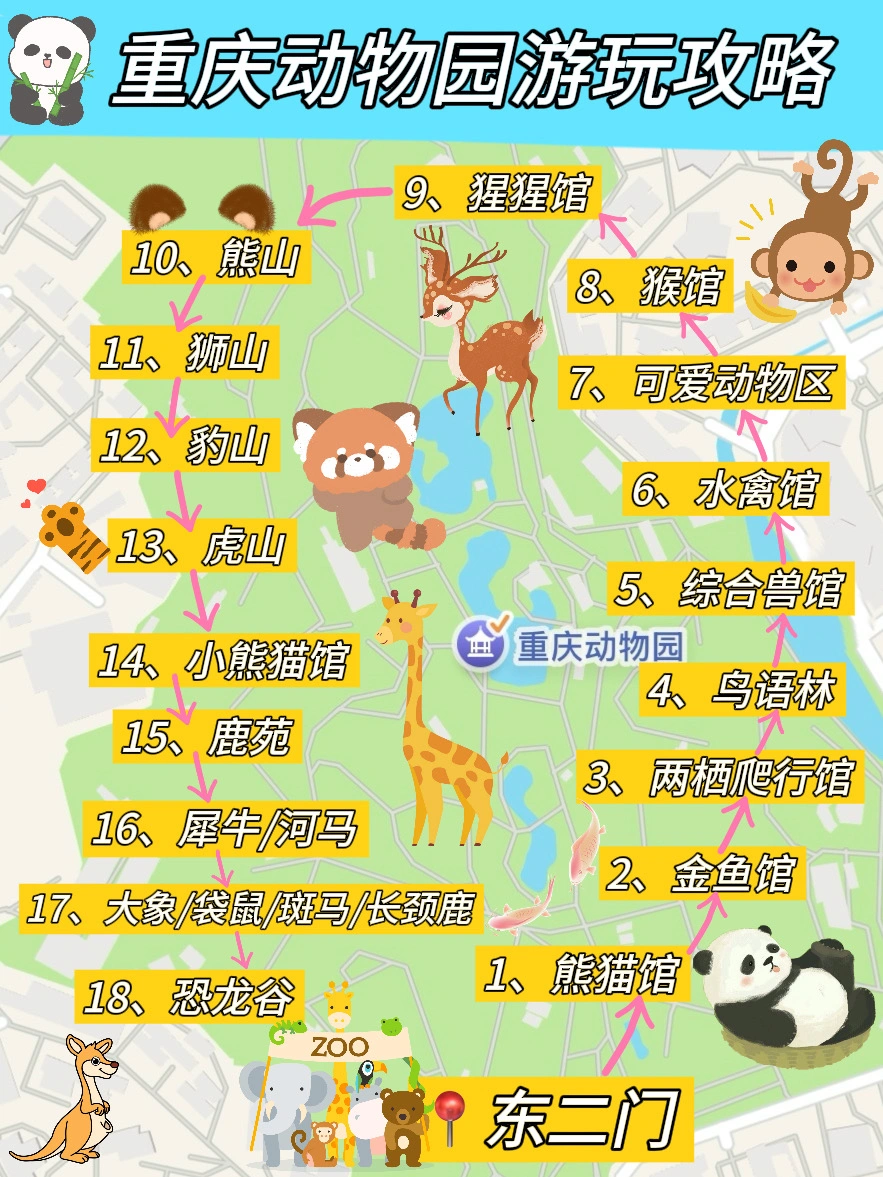 去了动物园8次…🔥全程不绕路保姆级攻略‼️