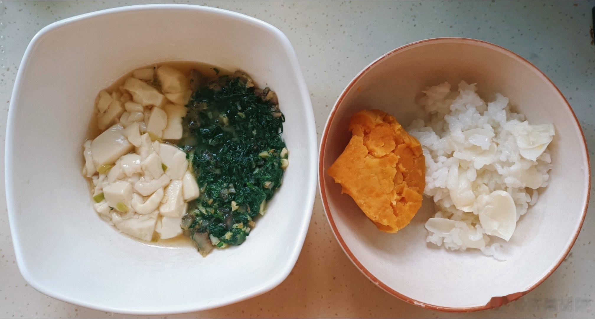 老母亲的午餐：百合米饭，蒸红薯，蒜蓉茼蒿海参，烩内脂豆腐。茼蒿海参吃光了，豆腐剩
