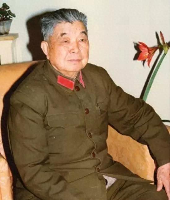 刘忠曾被先后拟任成都、兰州军区副司令，关键时刻刘帅为此劝阻：你不能离开！
195