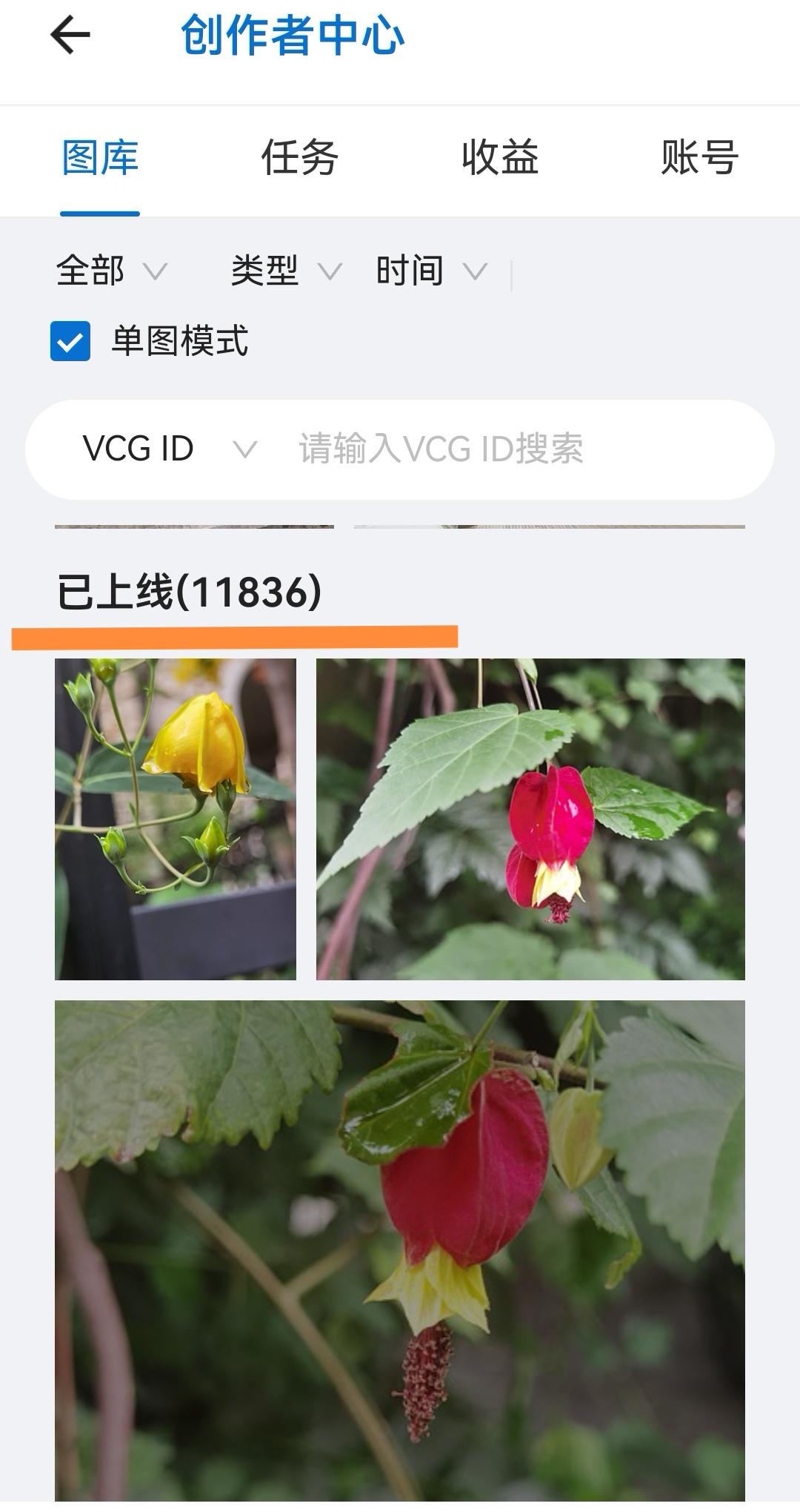 已经上线11836张照片。视觉中国&500px 视觉中国