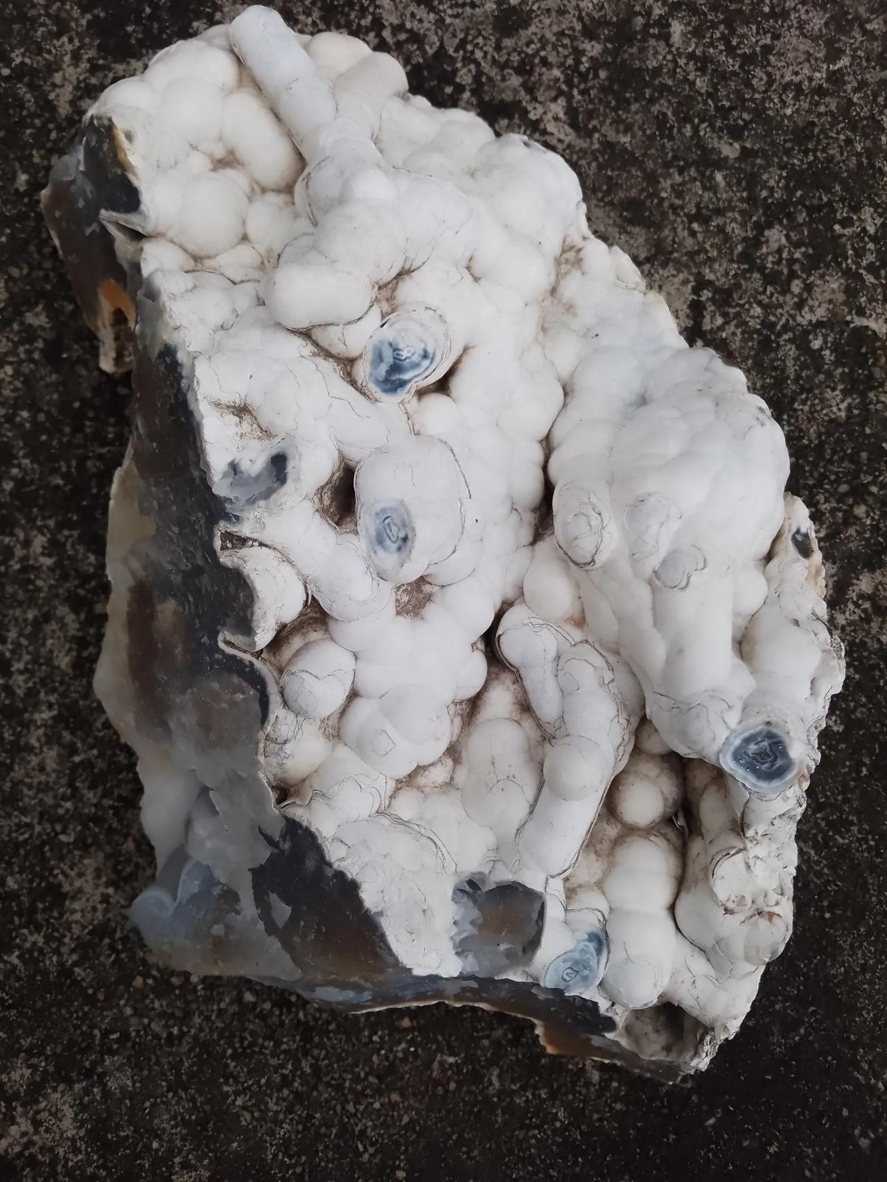 当珊瑚变成了玛瑙化石，你不得不惊叹大自然力量的神奇。