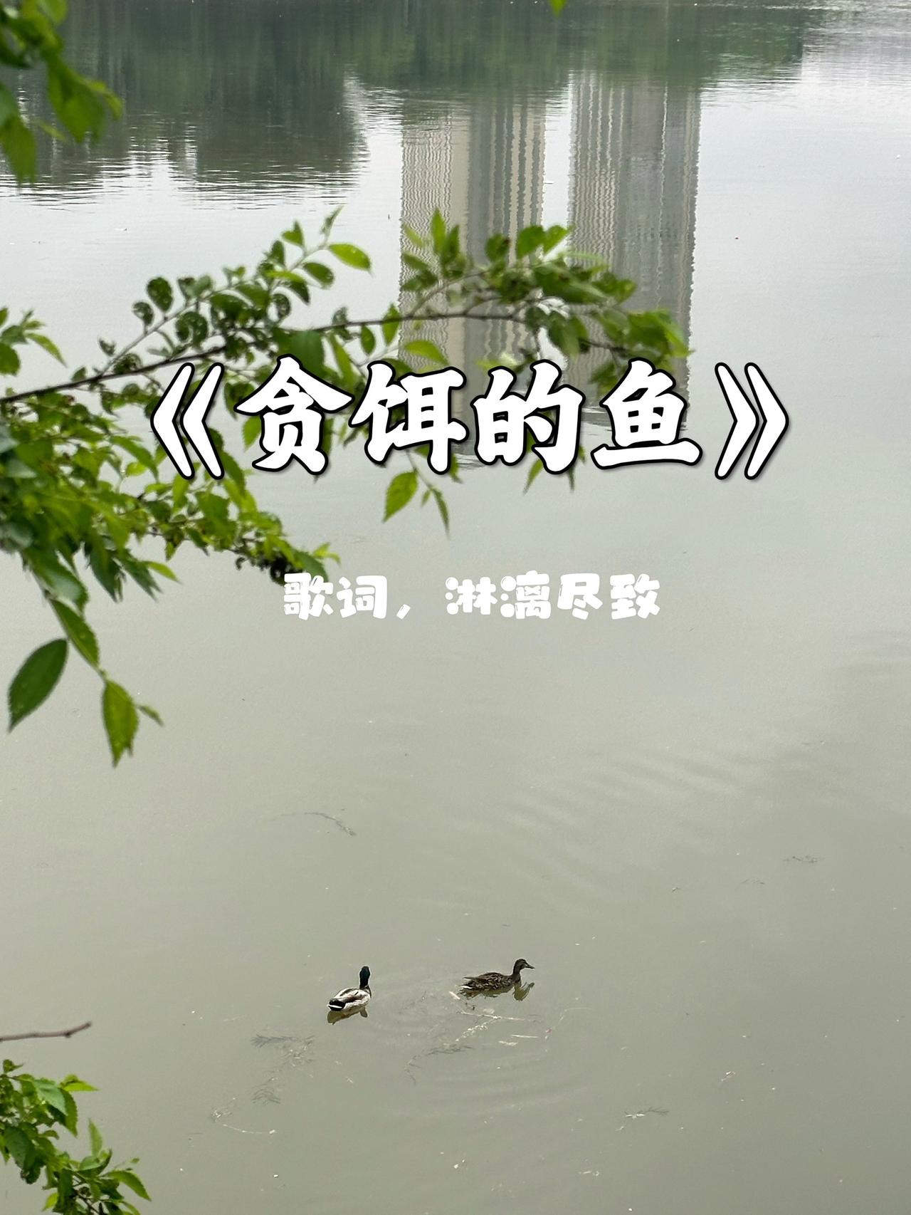 太好听了，句句入心人生感悟歌曲