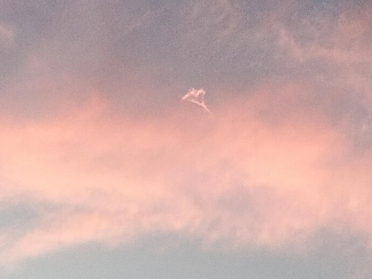 看到的是：祥云法杖。