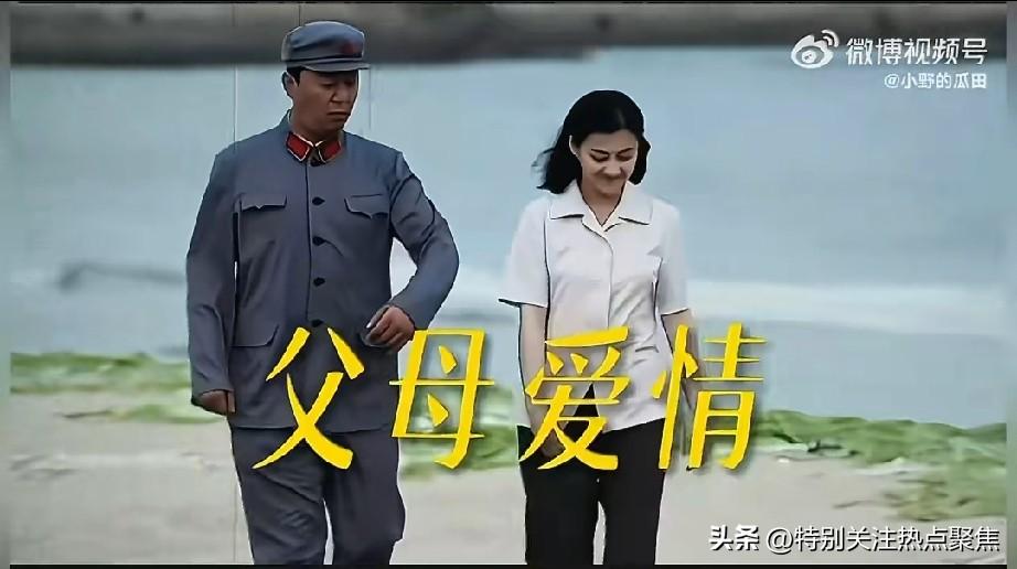欧阳懿回岛受欢迎，核心是江德福暗中撑腰、自身学识贡献、长期真诚相处、岛民淳朴重情
