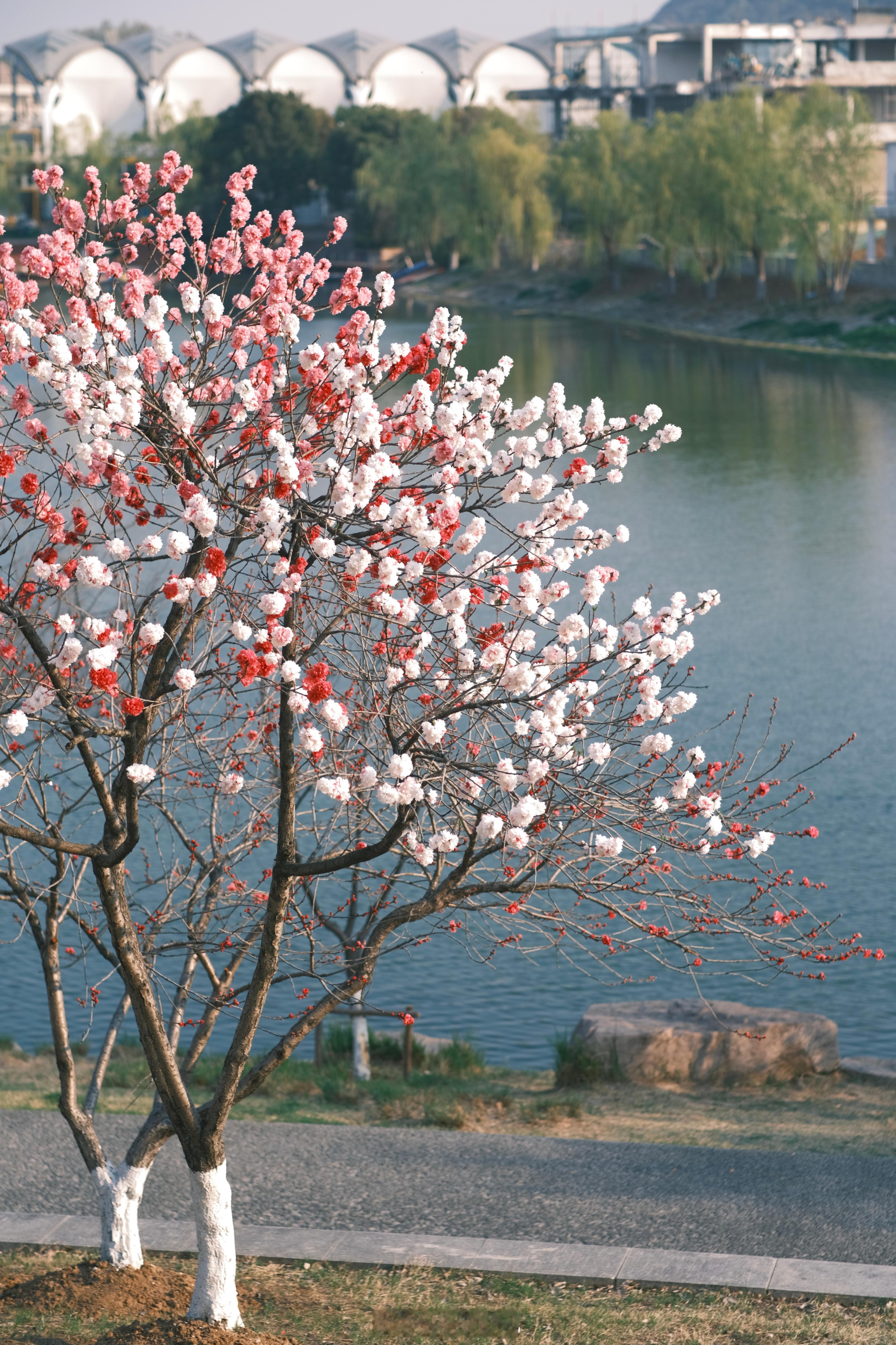 与春同频🌱  ​​​