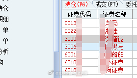 旭哥现在是放开了，以交易为主了，逻辑前期我讲的太多了，交易波段的做的多了，接下来