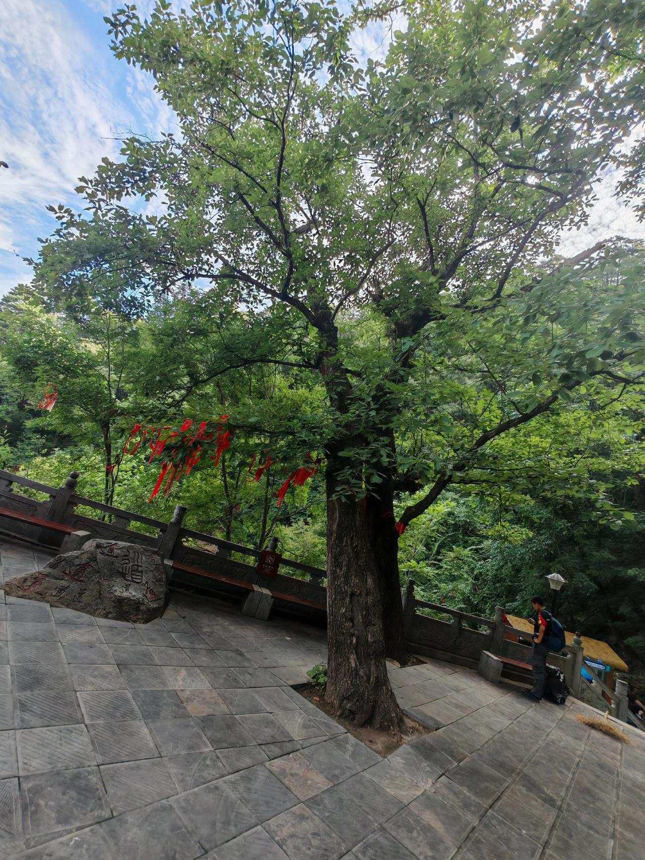 盛夏的早晨，登上终南山脊的五台圣景，山还是那座山，景还是那样的景，唯一不一样的是