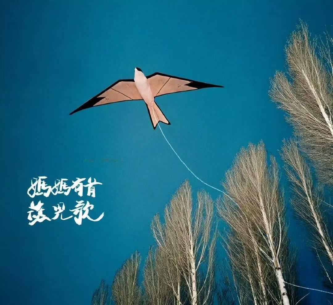 王睿卓得多想妈妈啊王睿卓新歌《妈妈有首燕儿歌》好听的，今天母亲节更适合听了嘿嘿，