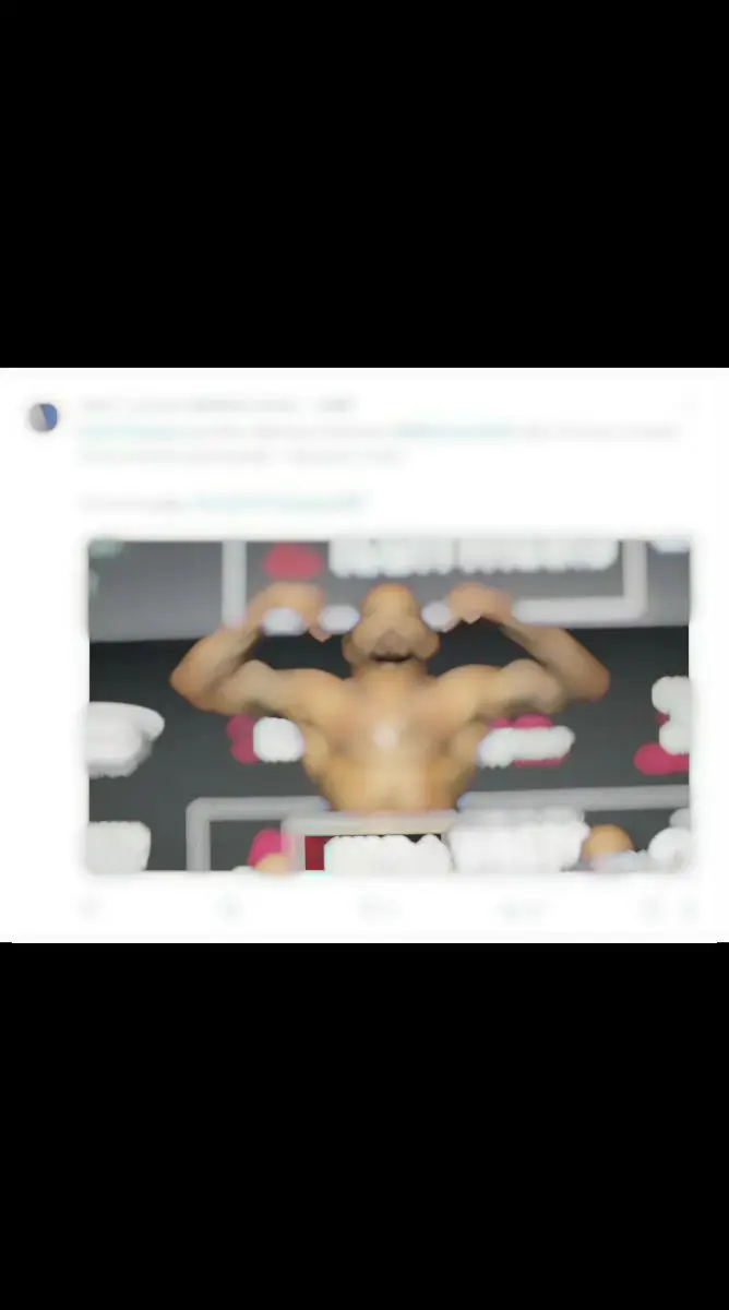 UFC Tampa战报，“王强”迈克尔-约翰逊在第二回合 2:03，K...