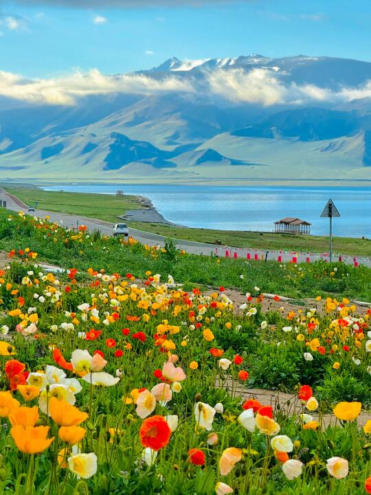 接下去的新疆💚每一帧都是童话世界‼️🤍💐