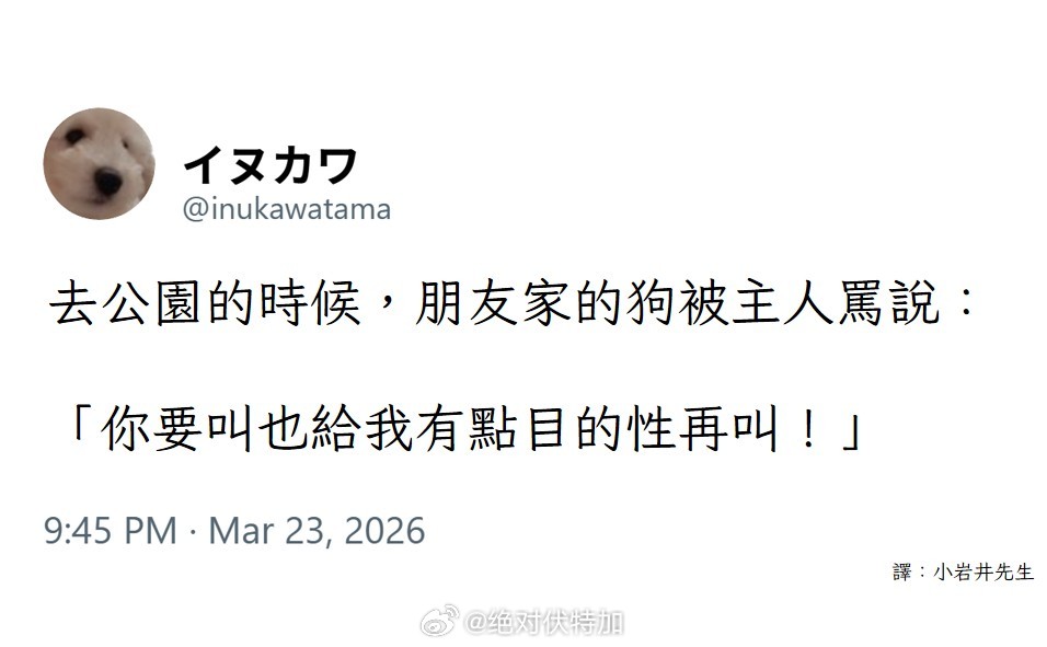 这个主人很讲道理。狗 狗狗 铲屎官