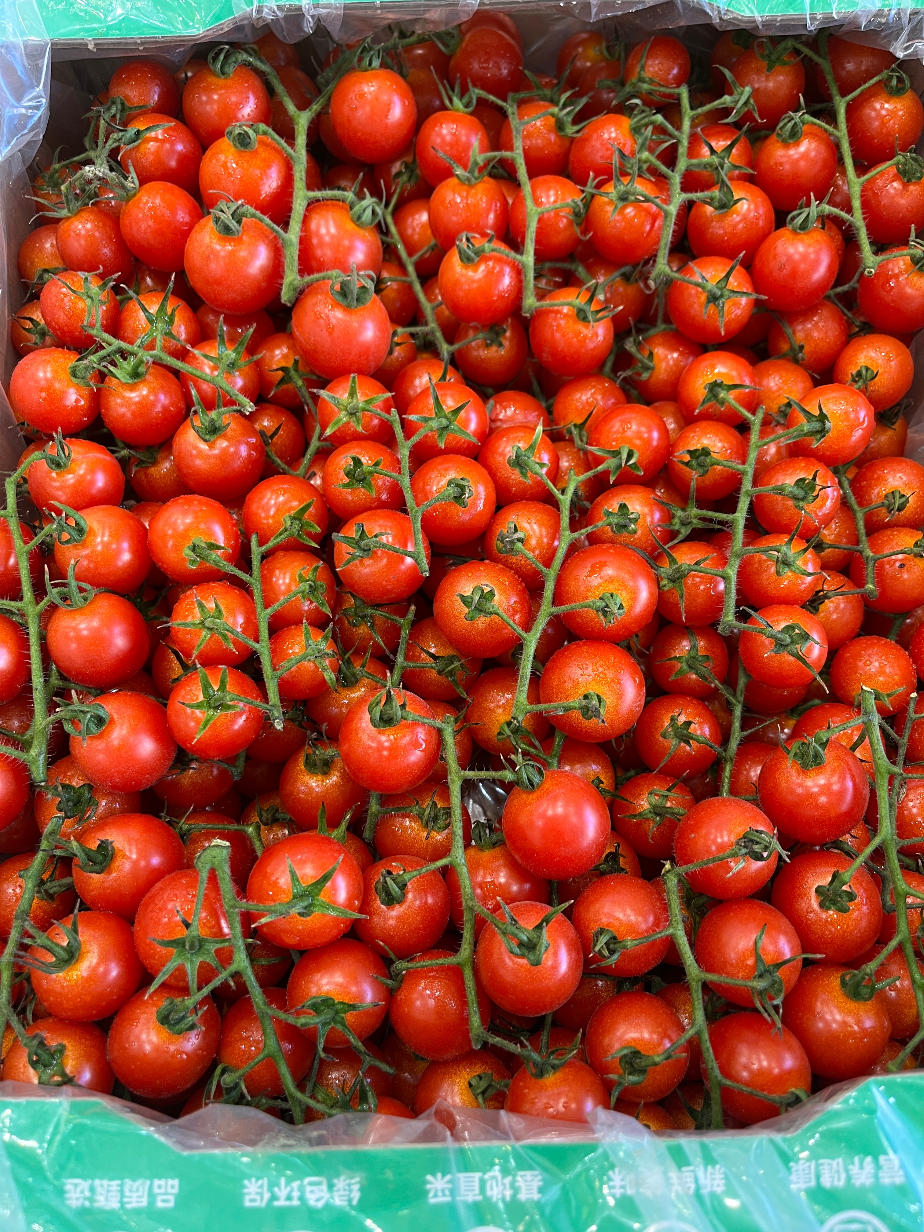 第一次买到那么酸的🍅🍅🍅[二哈][二哈][二哈][二哈][二哈][二哈][