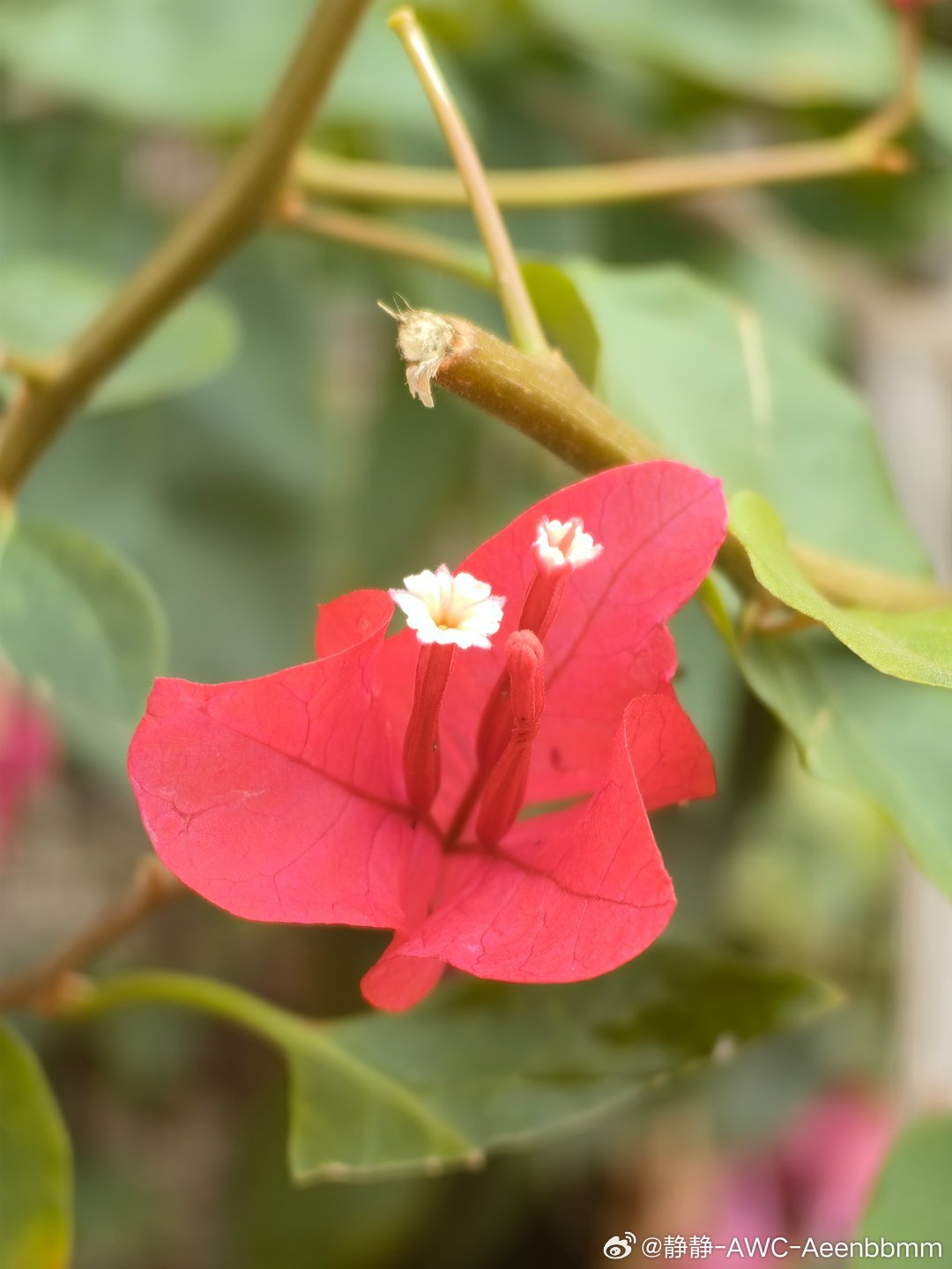 2026年要多晒太阳多运动 努力赚钱养家