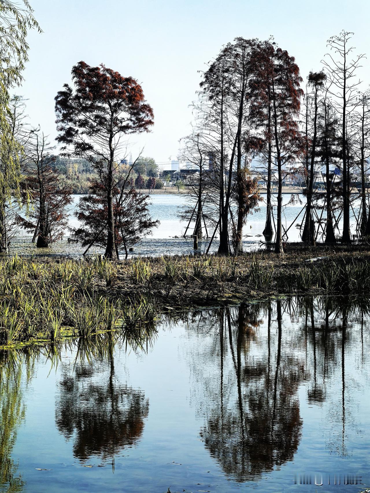 冬日生活打卡季