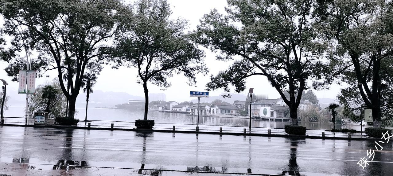 《磁湖烟雨天：一幅未干的水墨》

这不是画，是磁湖自己洇开的宣纸——你看杭州东路