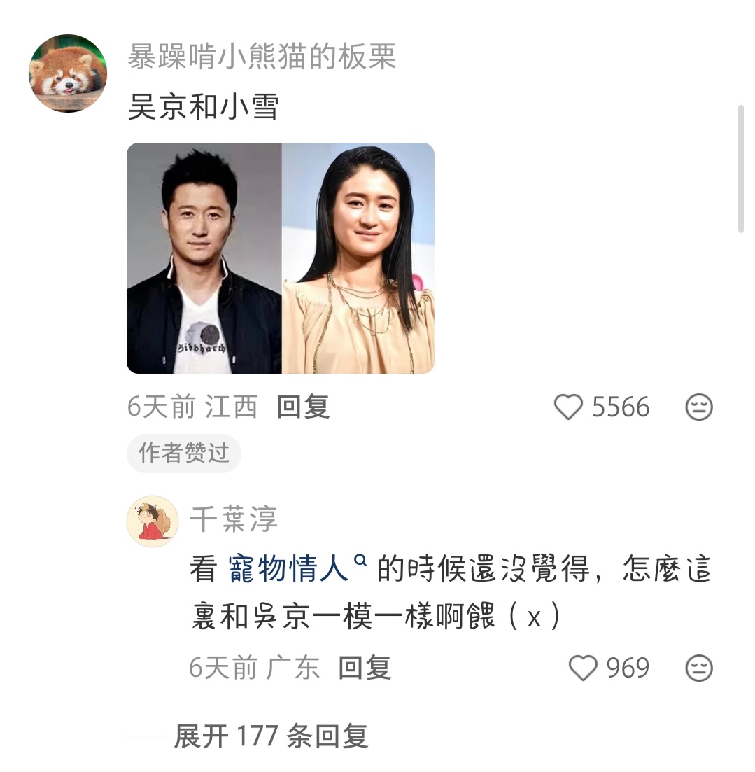 内娱和韩娱、日娱艺人长得像的艺人有哪些？ 