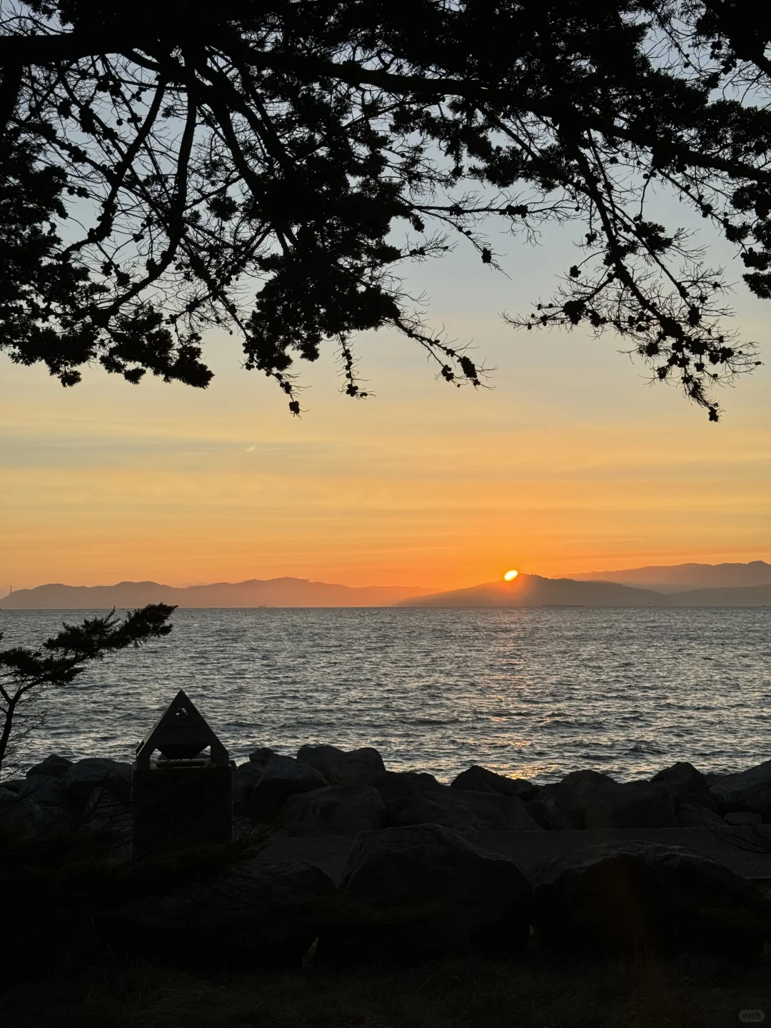 伯克利有没有秋招找工作搭子😢😢