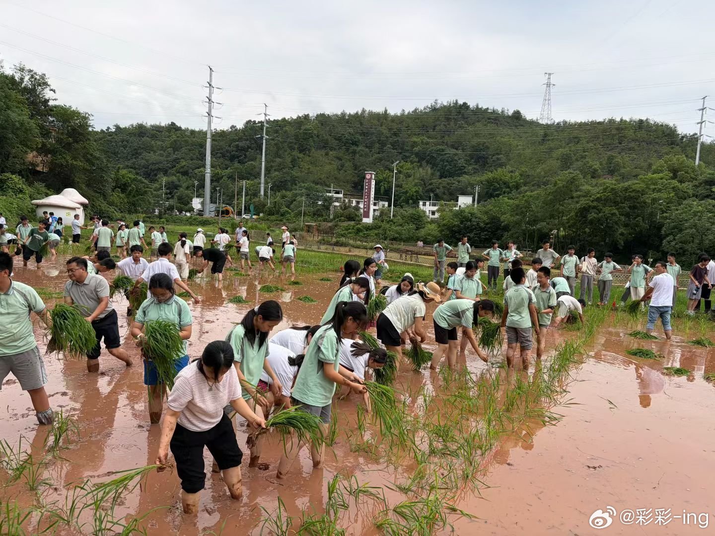 现在花钱让孩子去体验我们那个年代小时候的痛苦