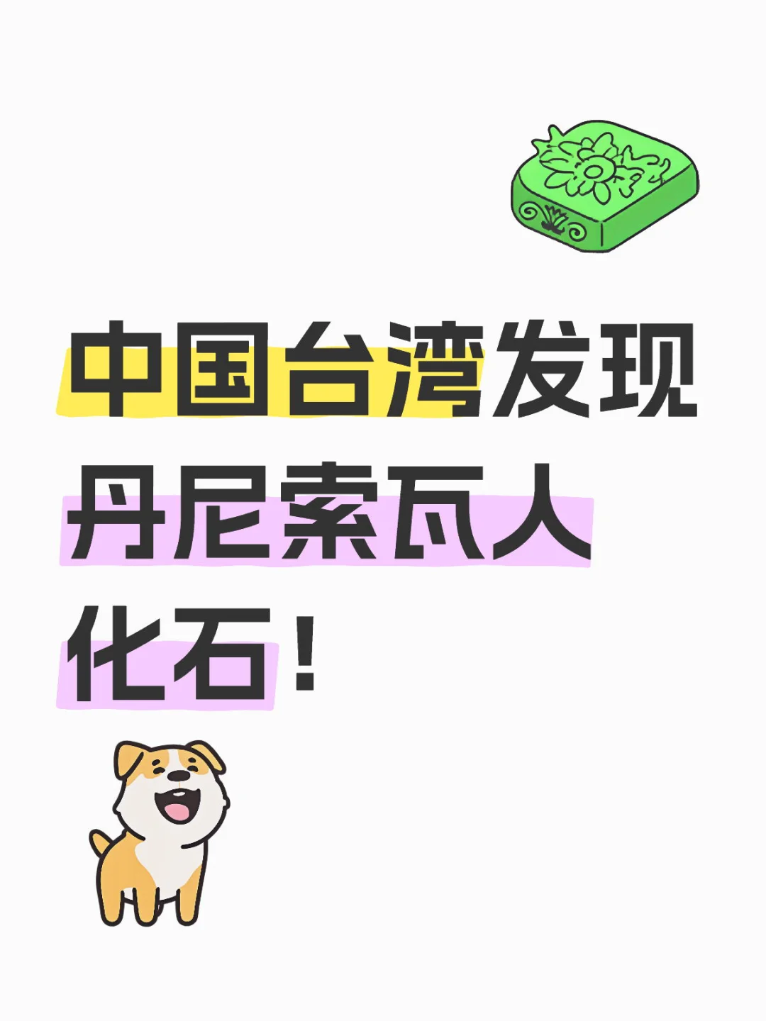 考古新发现｜中国台湾发现丹尼索瓦人化石！