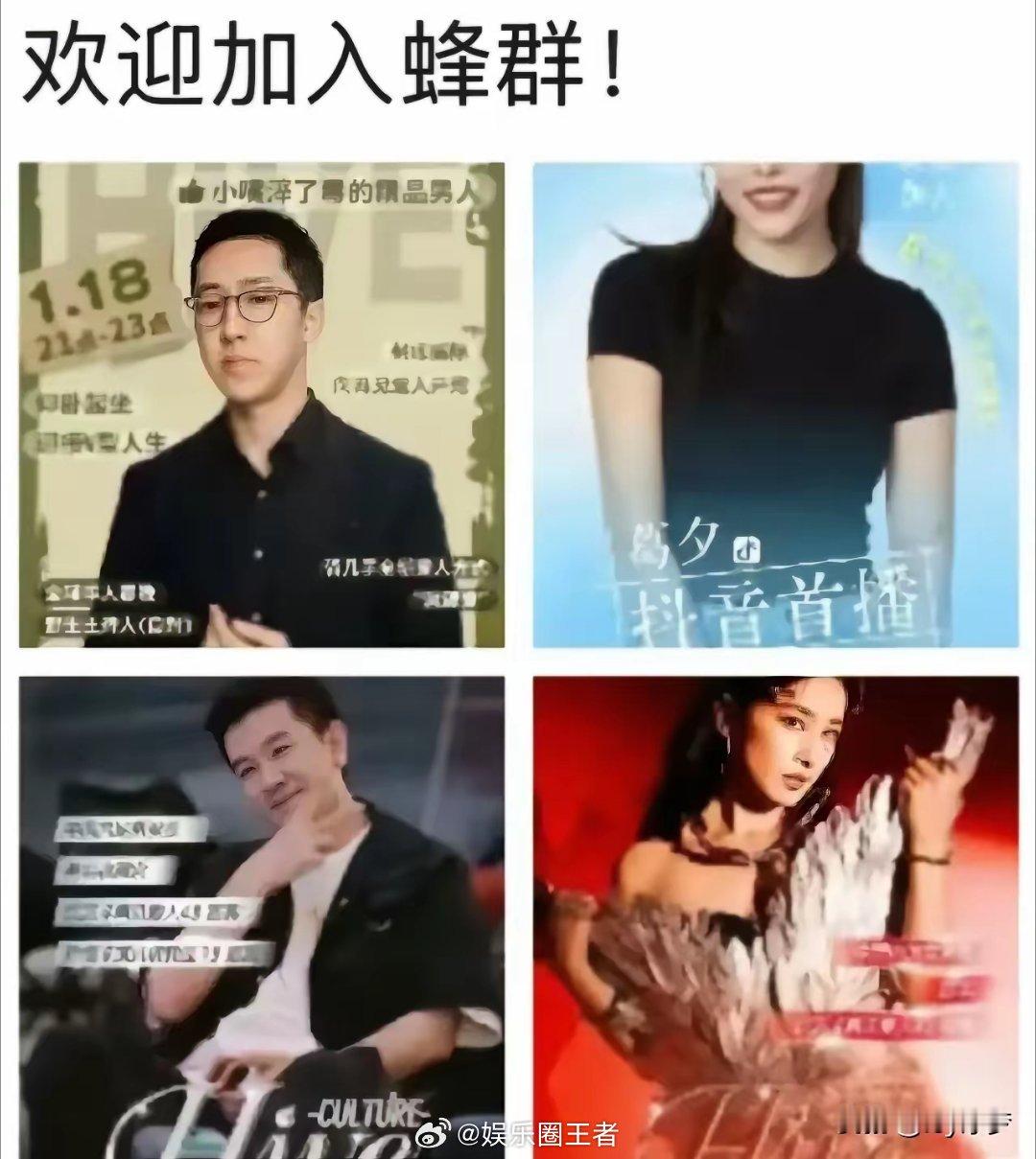 啥？合着留一手才是最后的赢家！葛夕，黄圣依，杨子都加入了蜂群文化，留一手是股东之