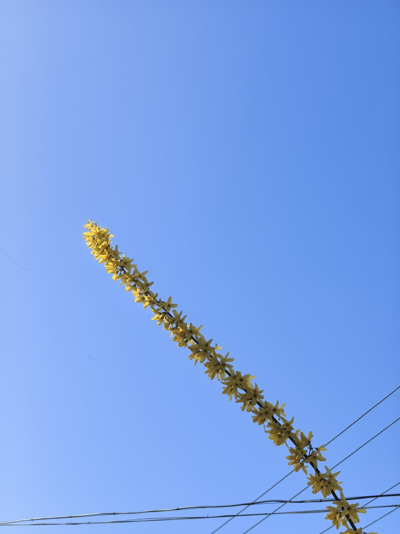 老话说的好，卯时不喝酒，酉时不骂妻。说的就是早上空腹别喝酒，傍晚回家再苦再累别骂