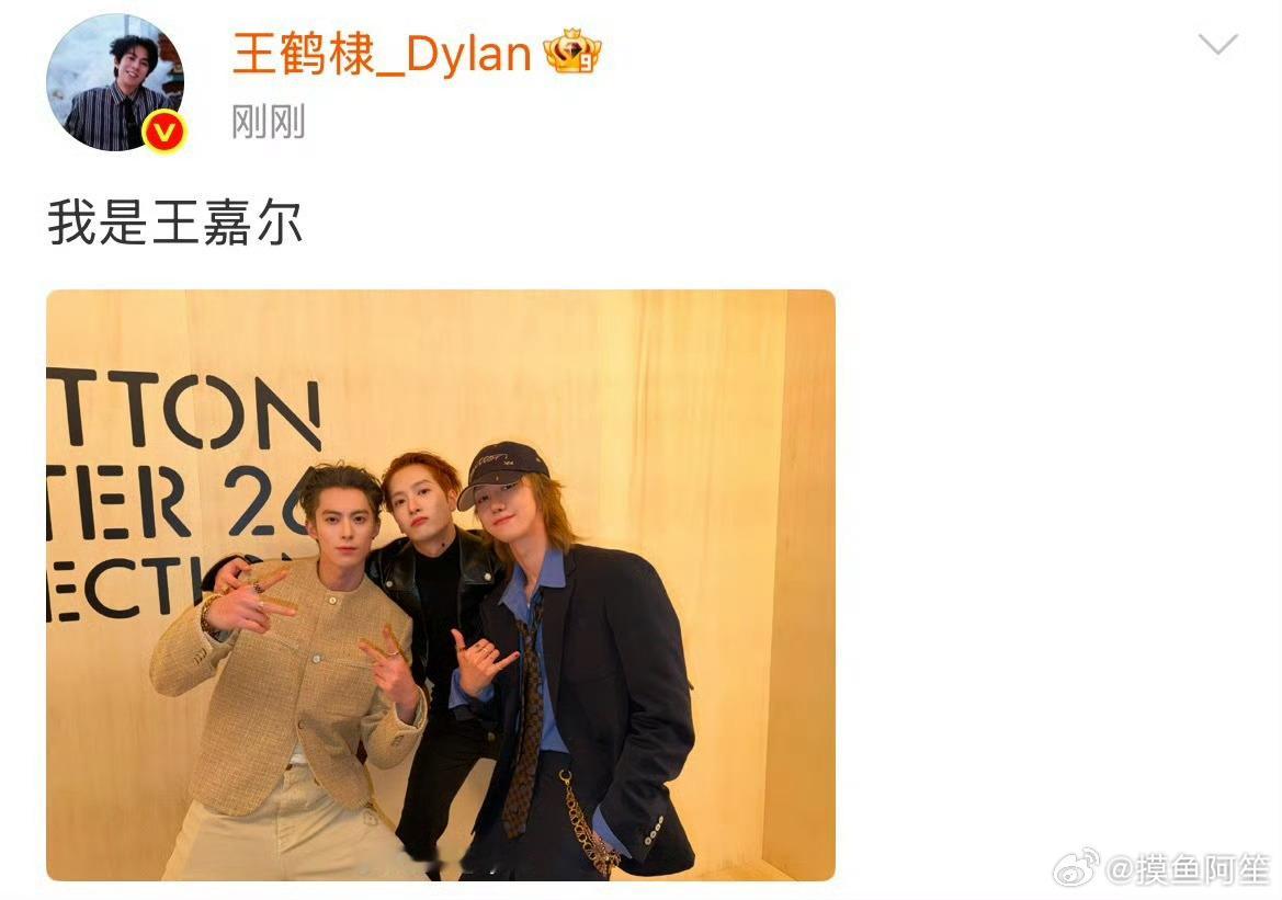 疑似中国区lv的三位在玩一种很新颖的介绍方式，首页一溜刷到王嘉尔，王鹤棣，徐明浩