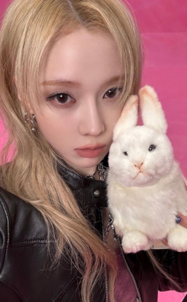 🐰 