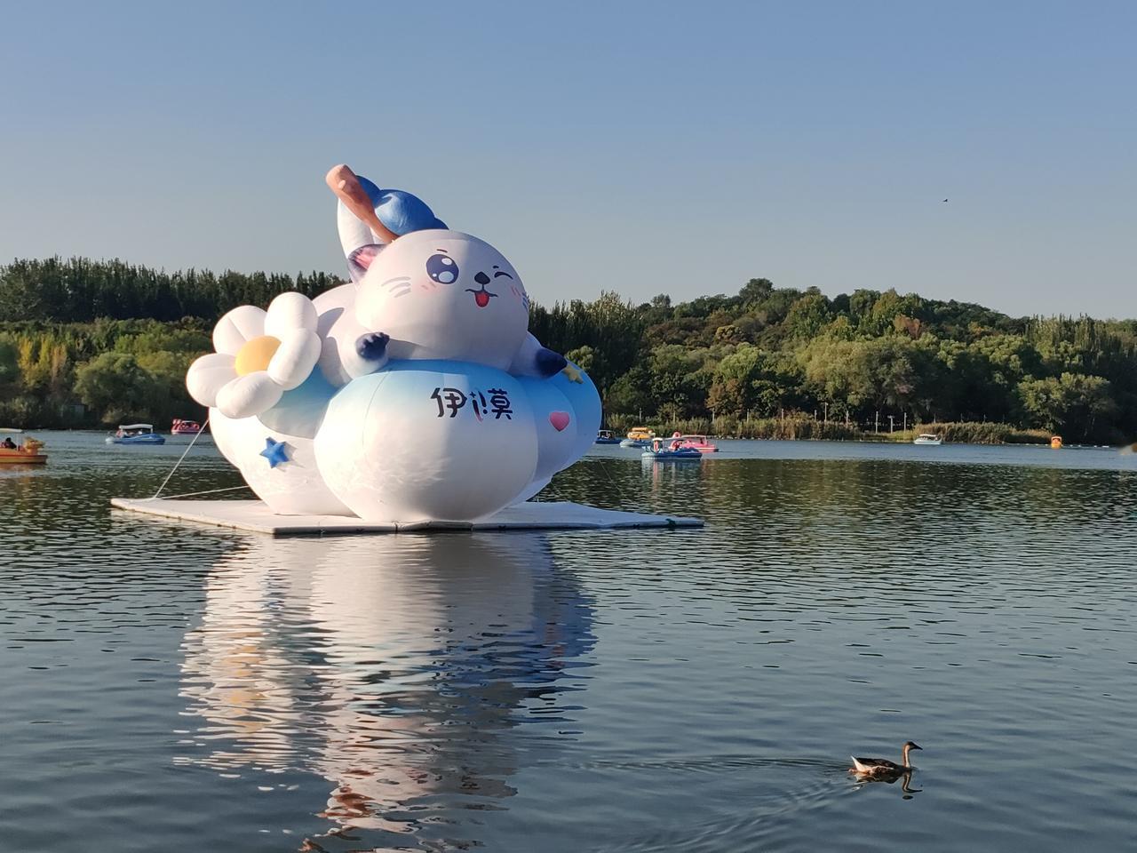 昨天阳光明媚，信步去了奥森，在南门的湖面上看到这个大家伙
不是大白
也不是小黄鸭