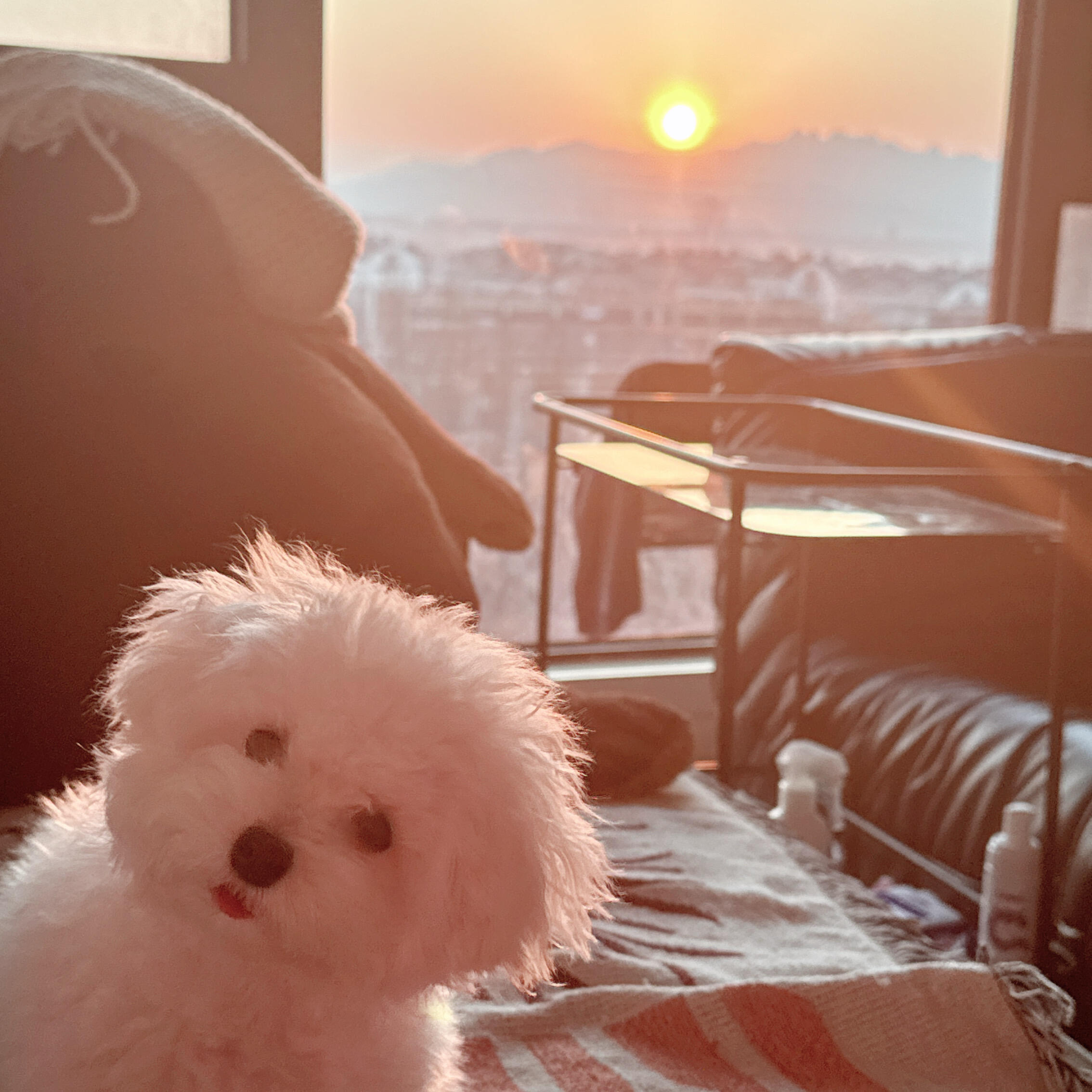 恭喜你刚睁开眼睛就看到了小可爱 