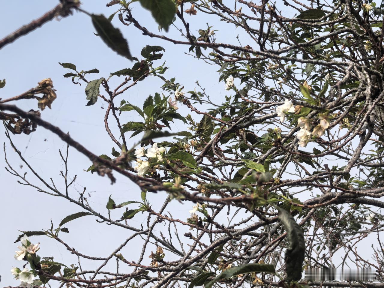 酒店业如何高质量发展?在十五五规划背景下，酒店行业的高质量发展需围绕政策导向、市
