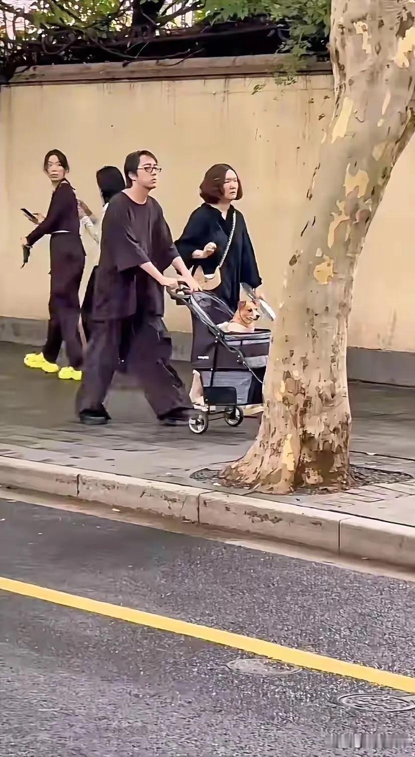 有钱人都喜欢养狗