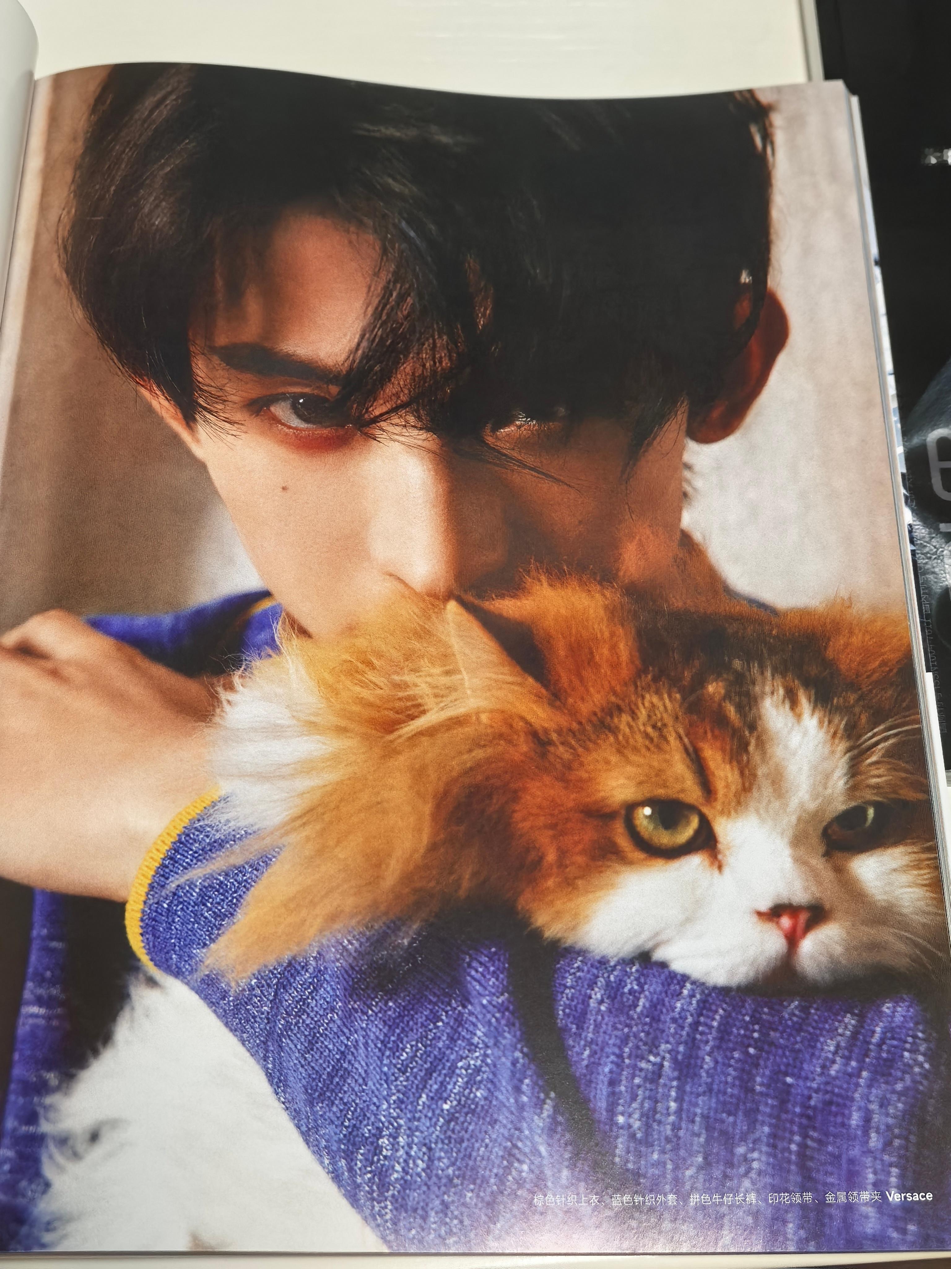 Happy Valentine's Day💞🎇 红玫瑰[音乐] 