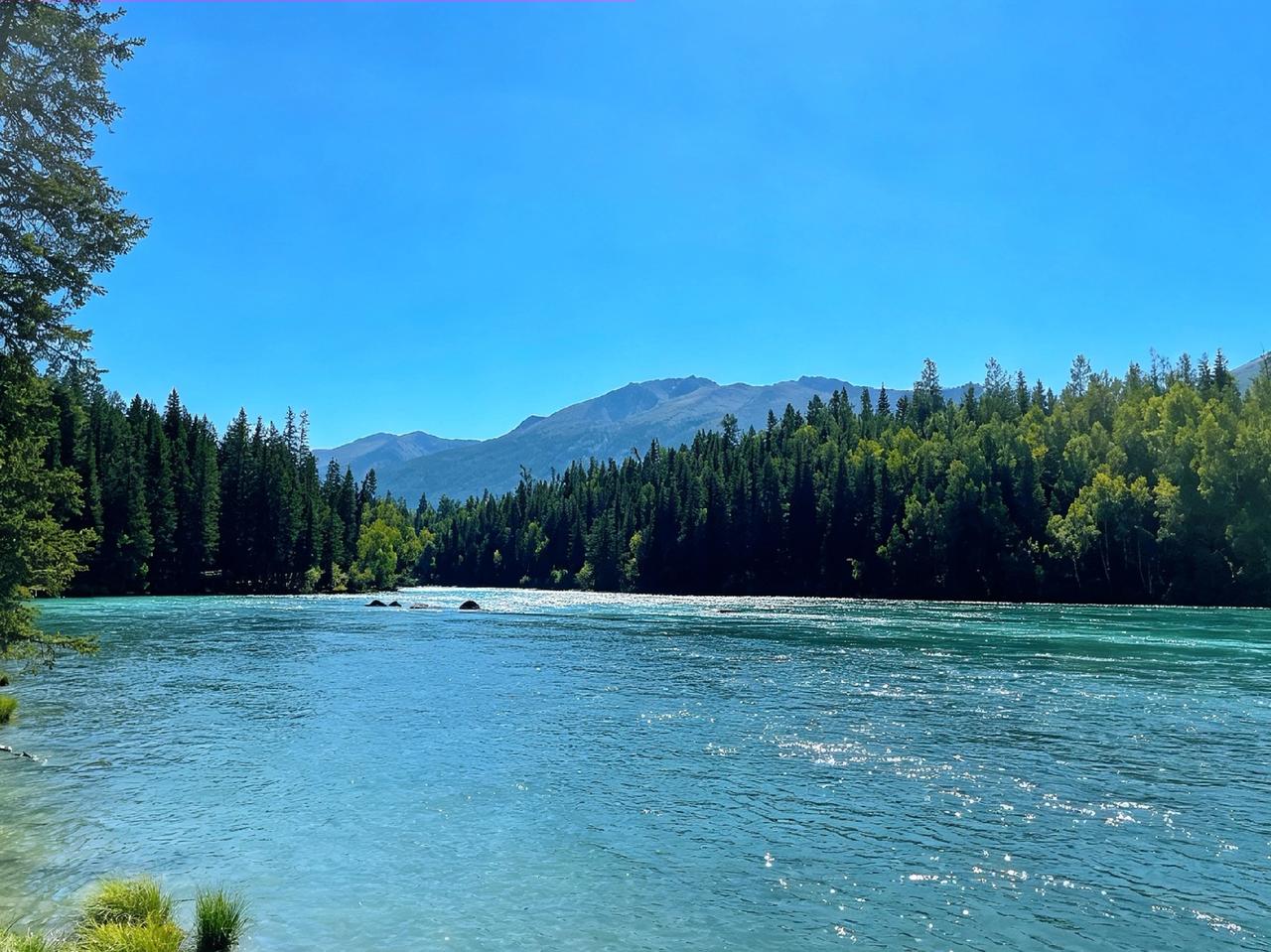 今年春天最想实现的心愿夏天悄悄到来，也想认真许个愿：愿日子安稳顺遂，烦恼随热风散