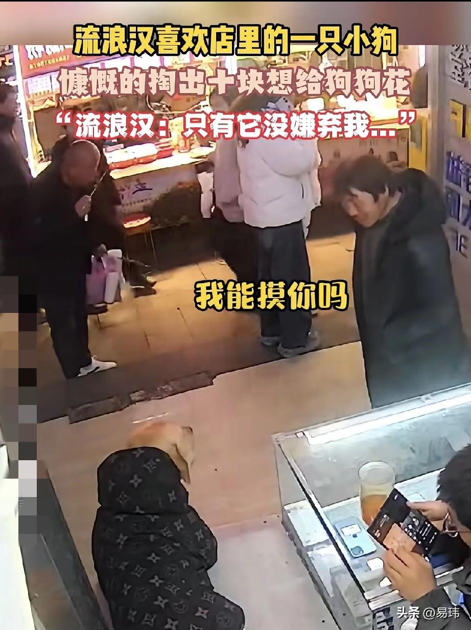 泪目了！一位小哥哥开了一家手机店，这天他和往常一样在守店。而他养的金毛狗狗则蹲在