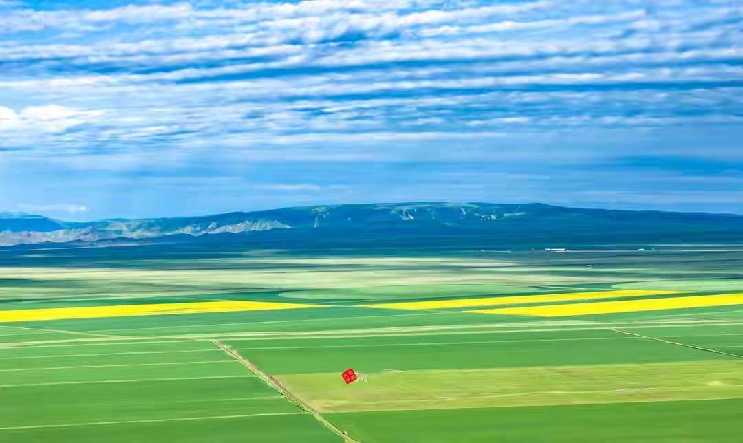 法不责鸡
鸡总三个保护伞：
①地方权力②平台利益方③饭圈粉丛成教徒
因此任凭风雨