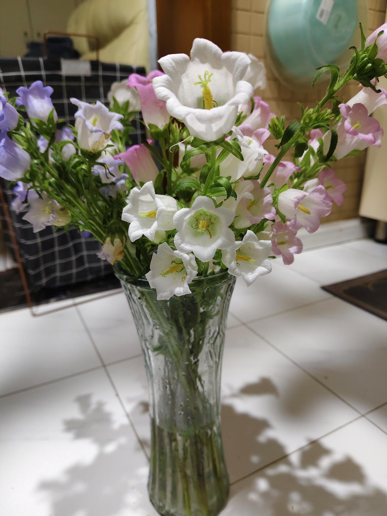 家里的花，太漂亮了