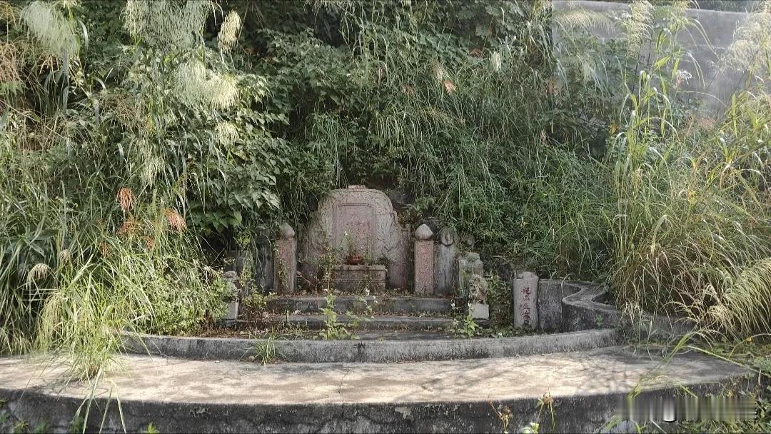 广东大山里发现一座古墓，封土堆上都长满了杂草，古墓建在半山腰的石壁上，十分壮观，