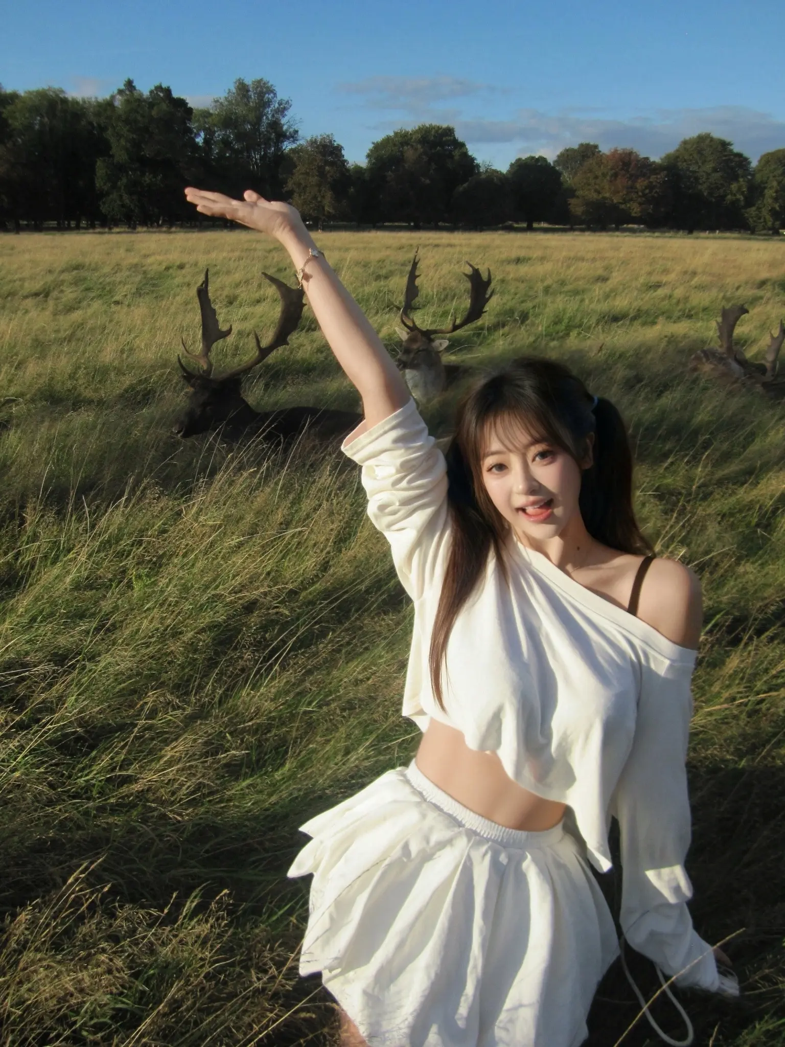 🌳Phoenix Park林深见鹿🦌 欧洲最大的公园， 来到了瑞幸...